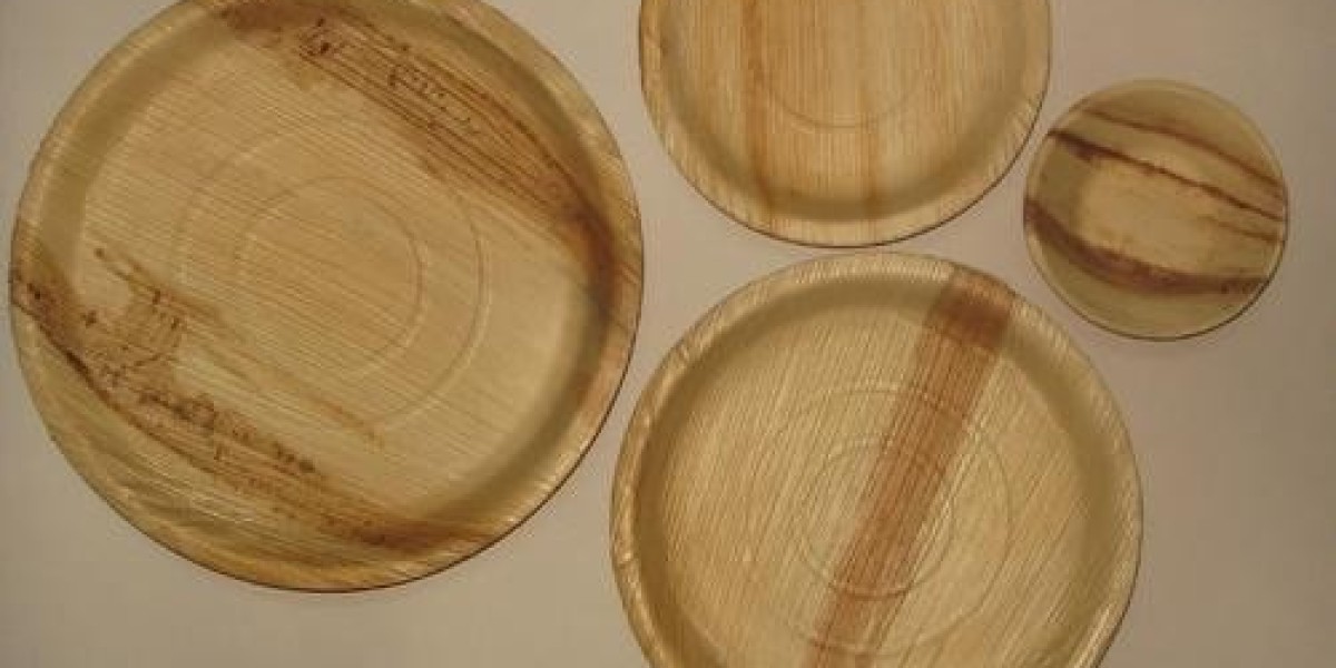 A Closer Look at the Eco-Friendly Boom in the Areca Plates Market