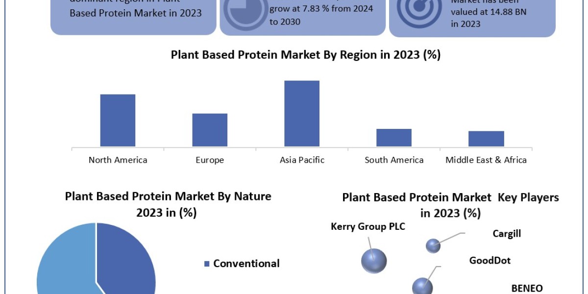 Plant Based Protein Market	Worth the Numbers: Size, Share, Revenue, and Statistics Overview | 2024-2030