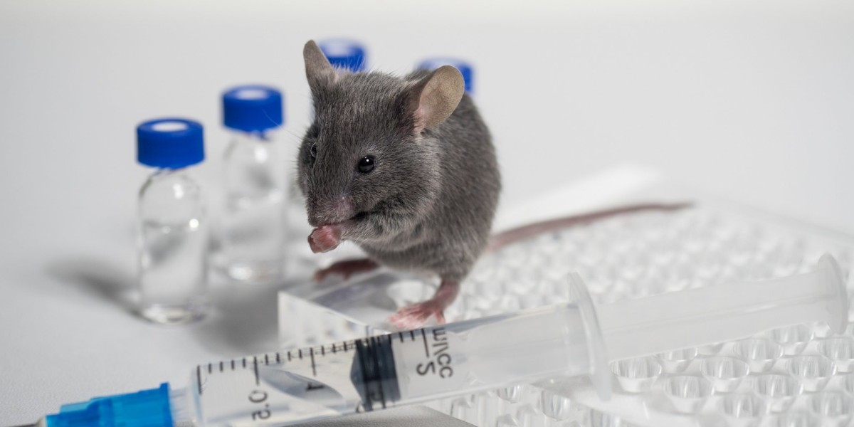 Animal Parasiticides Market Overview of Competitive Pricing Strategies and Their Impact on Profit Margins Across Segment