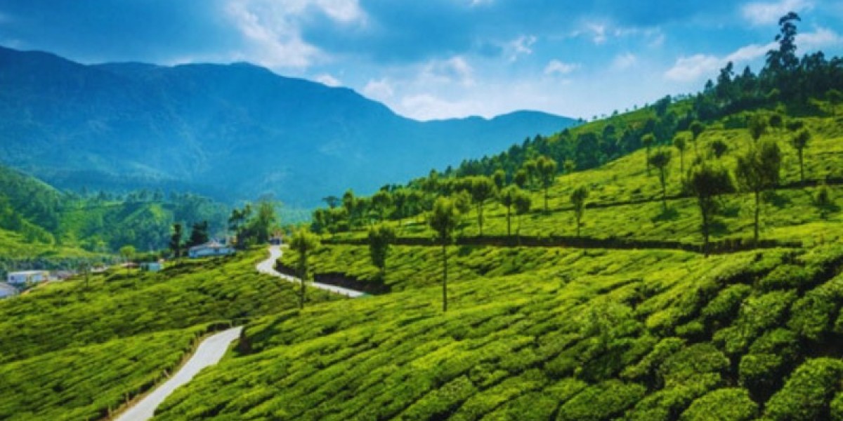 Affordable Domestic Tour Packages from Delhi - The Travel it