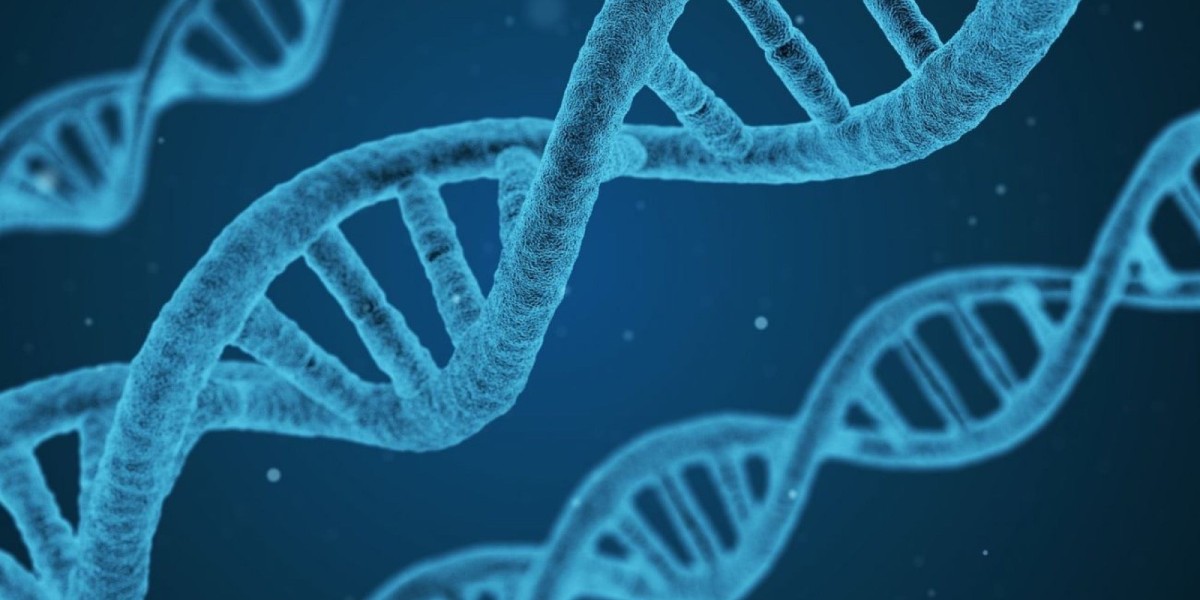 Animal Genetics Market: Empowering Dairy and Meat Sectors with Precision Genetic Tools