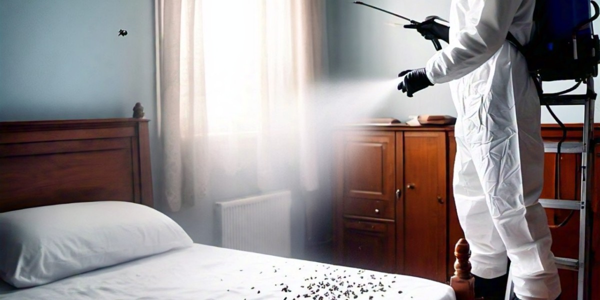 Professional Termite Control and Bed Bug Spray Services