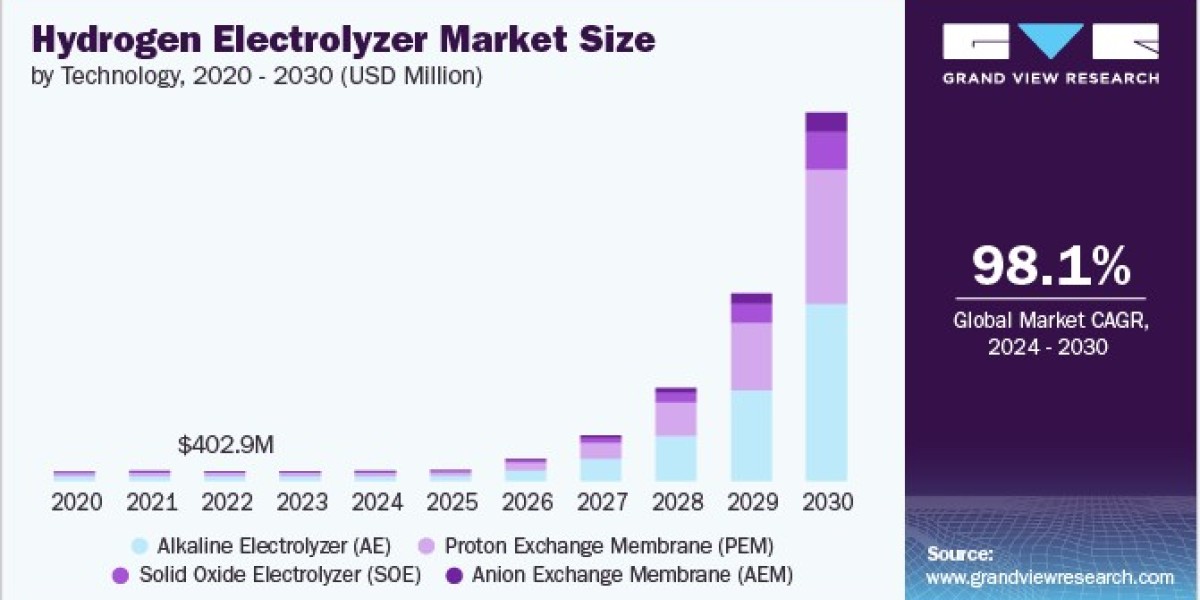 Hydrogen Electrolyzer Market 2030: Regional Insights and Growth Trends Across Continents