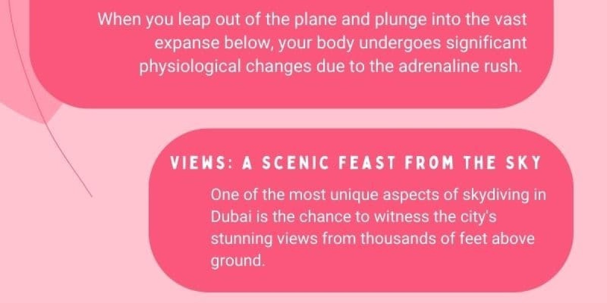 The Adrenaline Rush: What to Expect During a Skydive in Dubai