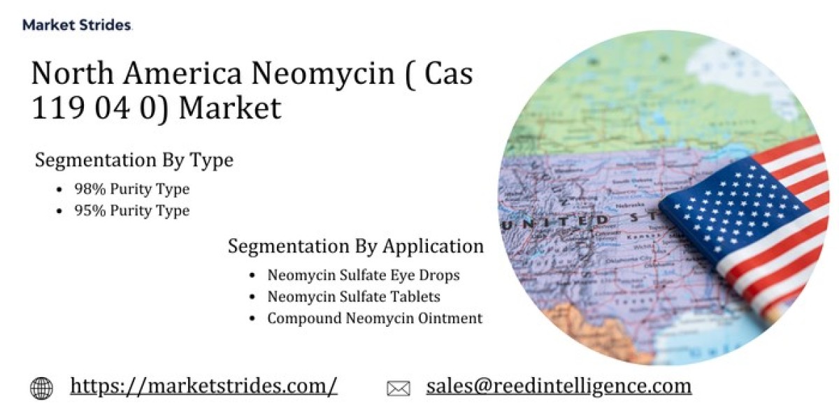 North America Neomycin ( Cas 119 04 0) Market Industry Trends, Growth Drivers, and Market Forecast 2023-2033