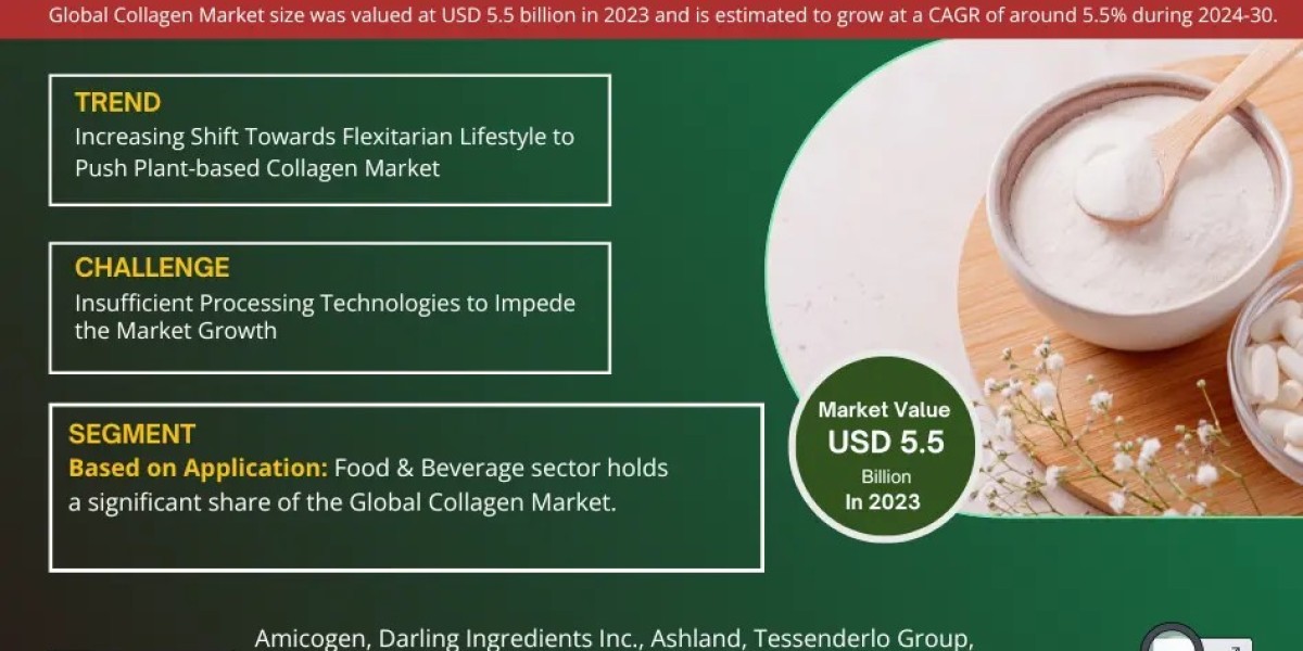 Explosive Growth Expected:  Collagen Market to Expand at 5.5% CAGR Through 2030