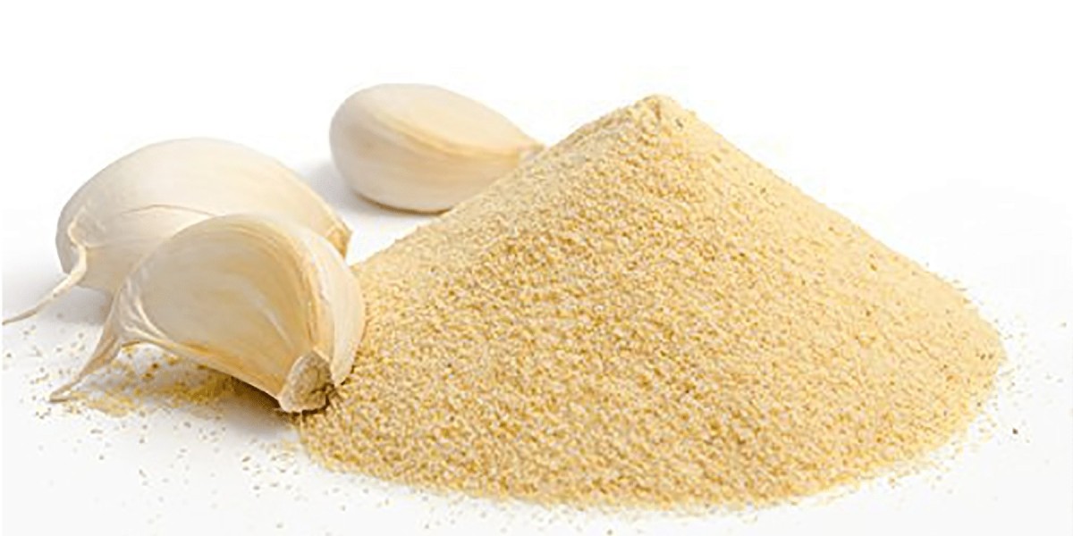 Setting Up a Successful Garlic Powder Manufacturing Plant Project Report 2024: Business Plan