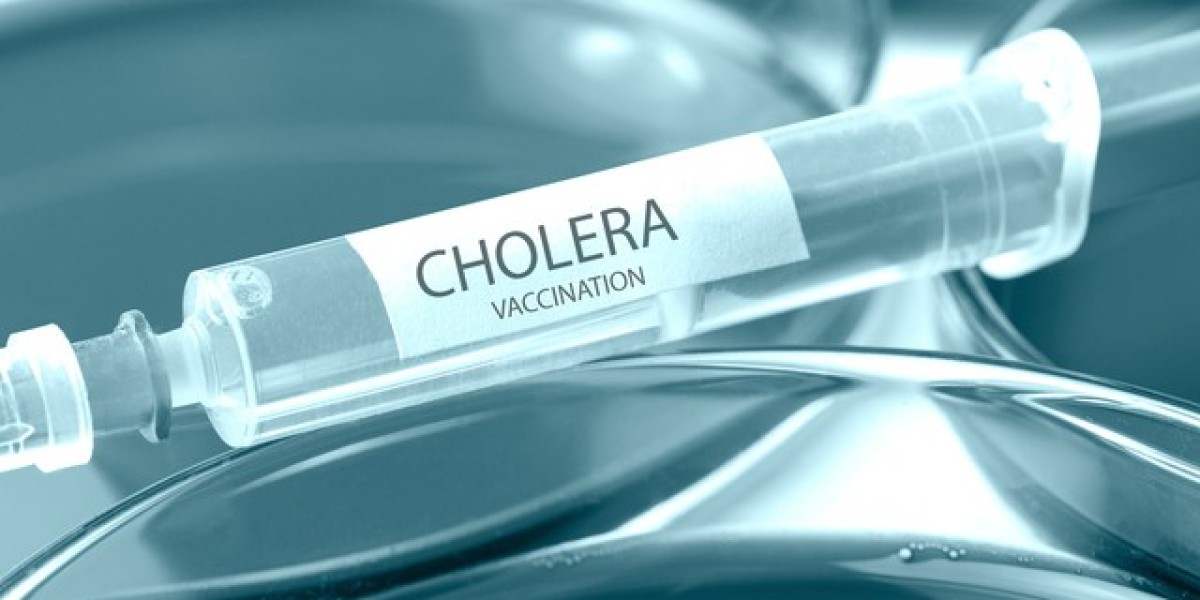 Cholera Vaccines Market Size, Share and Industry Analysis, Report 2025-2033