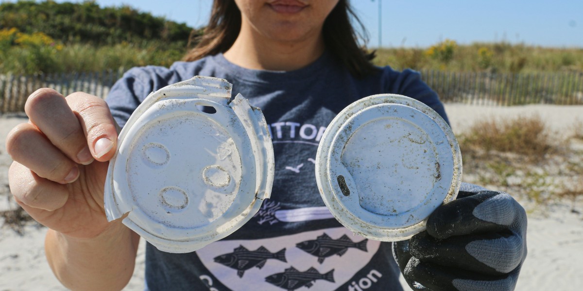 Biodegradable Lids Market: The Role of Government Policies in Driving Change
