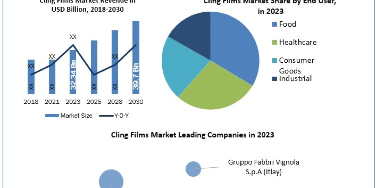 Cling Films Market Metrics Unleashed: Segmentation, Outlook, and Overview Trends   2030