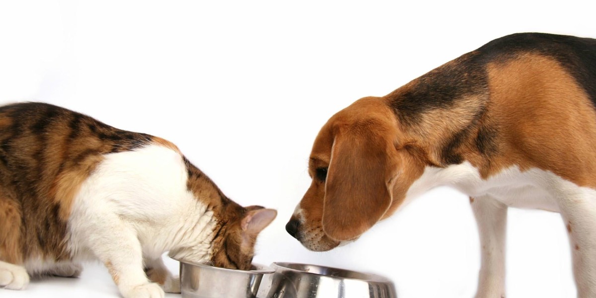 Animal Probiotics Market Growth: Exploring New Applications and Products for Livestock, Pets, and Aquaculture