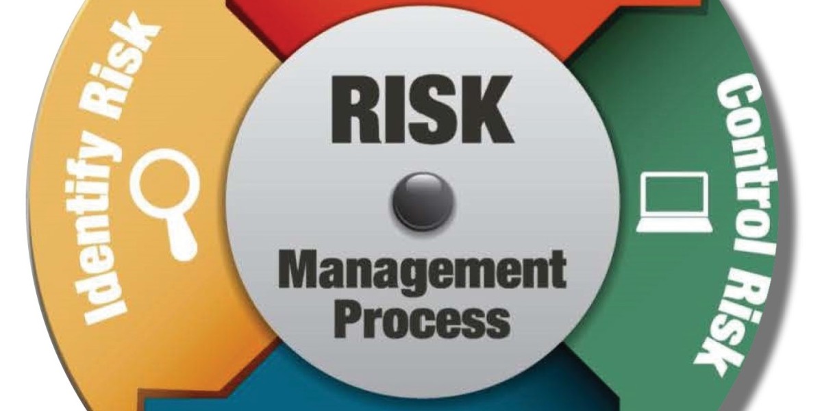 Risk Management Market Challenges for Sustainable Growth