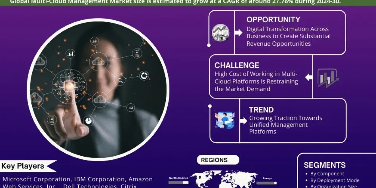 Multi-Cloud Management Market Analysis: Size, Share, and Growth Trends 2024-2030