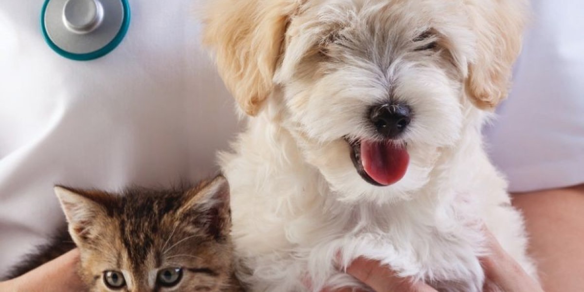 Companion Animals Drug Market: Rising Demand Driven by Pet Health Prioritization