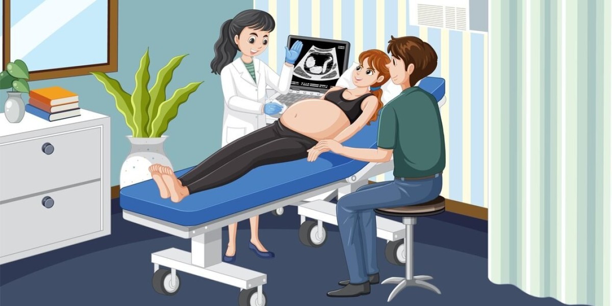 Fetal and Neonatal Heart Monitor Market Opportunities: The Growing Demand for Smart Monitoring Devices