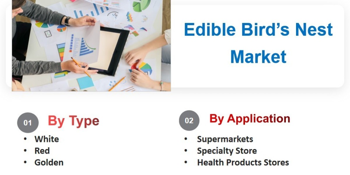 Edible Bird’s Nest Market Industry Report 2023-2033: Future Trends and Growth Analysis