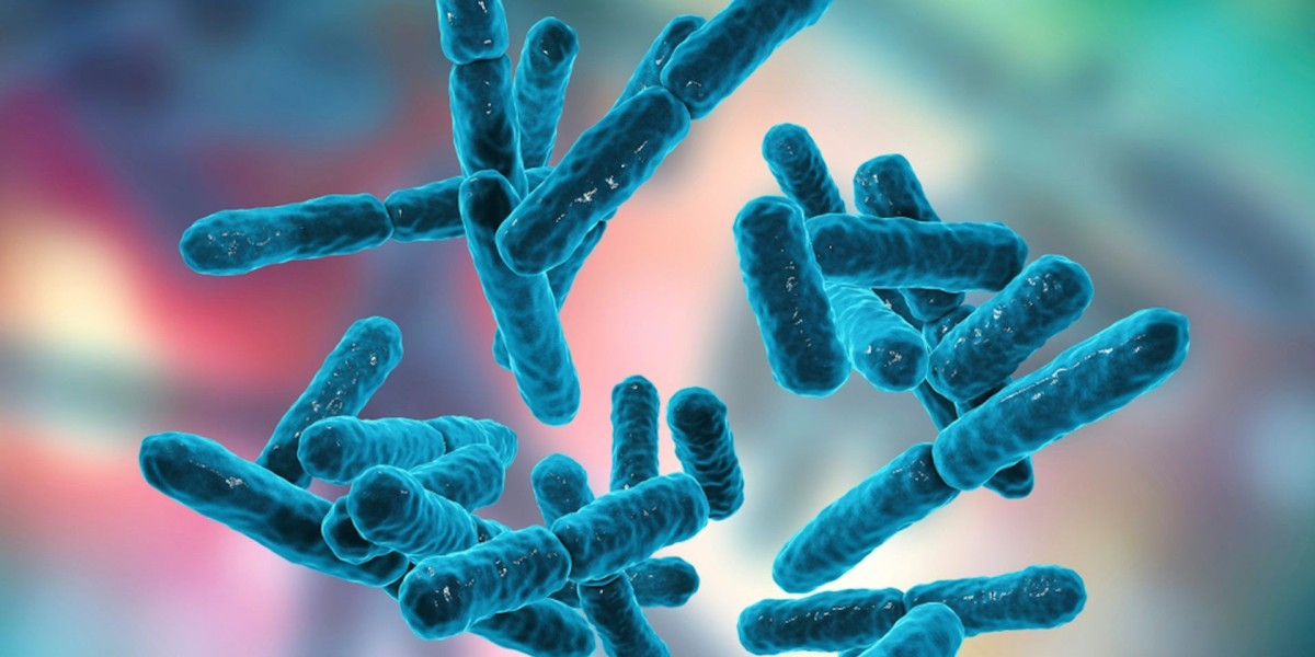 Bacillus Coagulans Market Research Report: Key Trends, Strategic Insights, and Market Forecast Across Major Segments