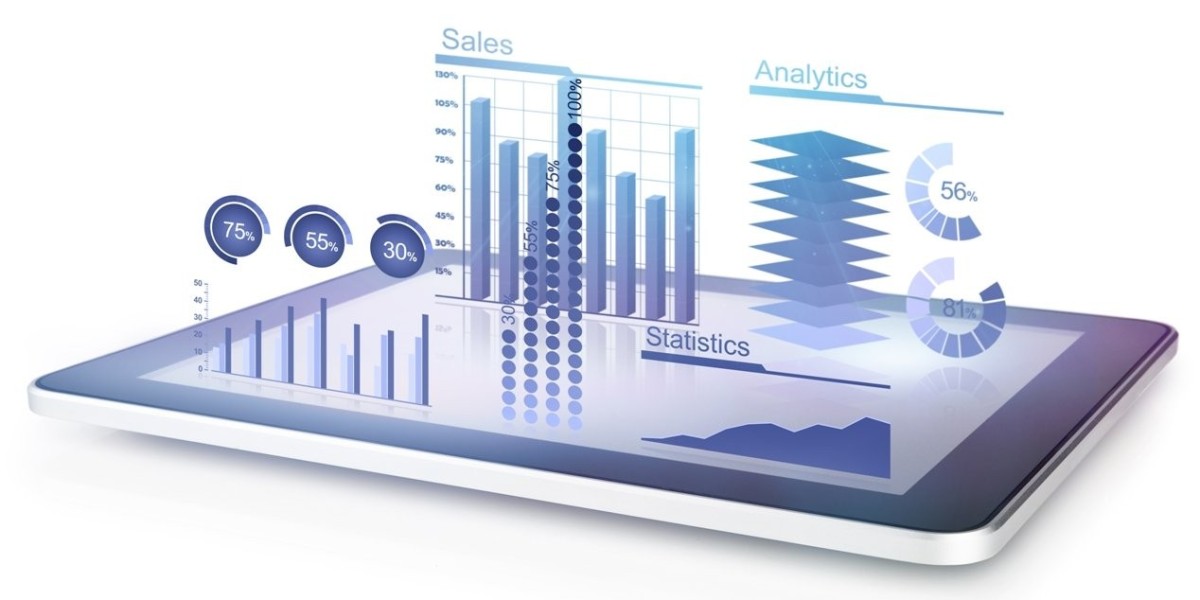 Overview: Statistical Software Market