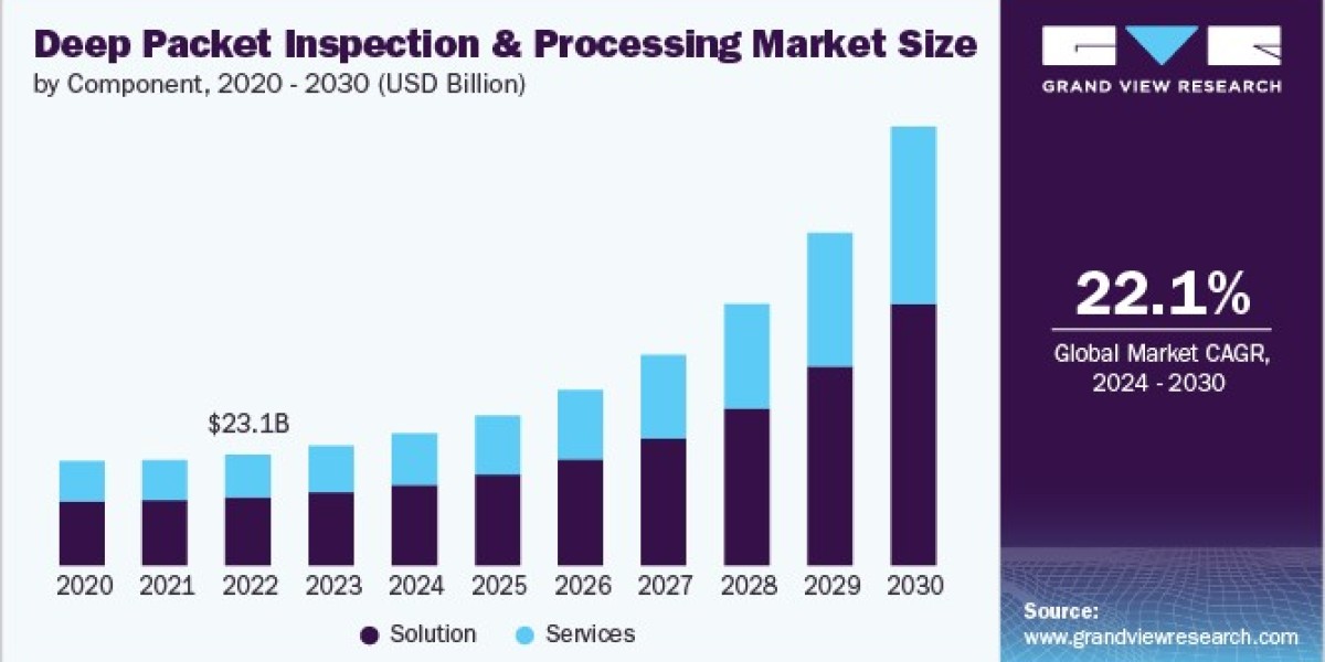 Deep Packet Inspection And Processing Market 2030: Exploring the Cloud vs. On-Premise Debate