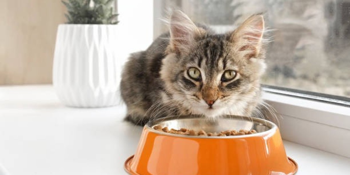 Pet Food Market: The Impact of Supply Chain Disruptions on Product Availability