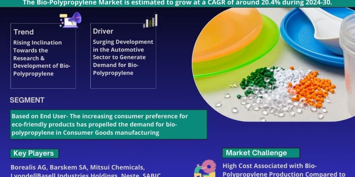 Bio-Polypropylene Market Breakdown By Size, Share, Growth, Trends, and Industry Analysis