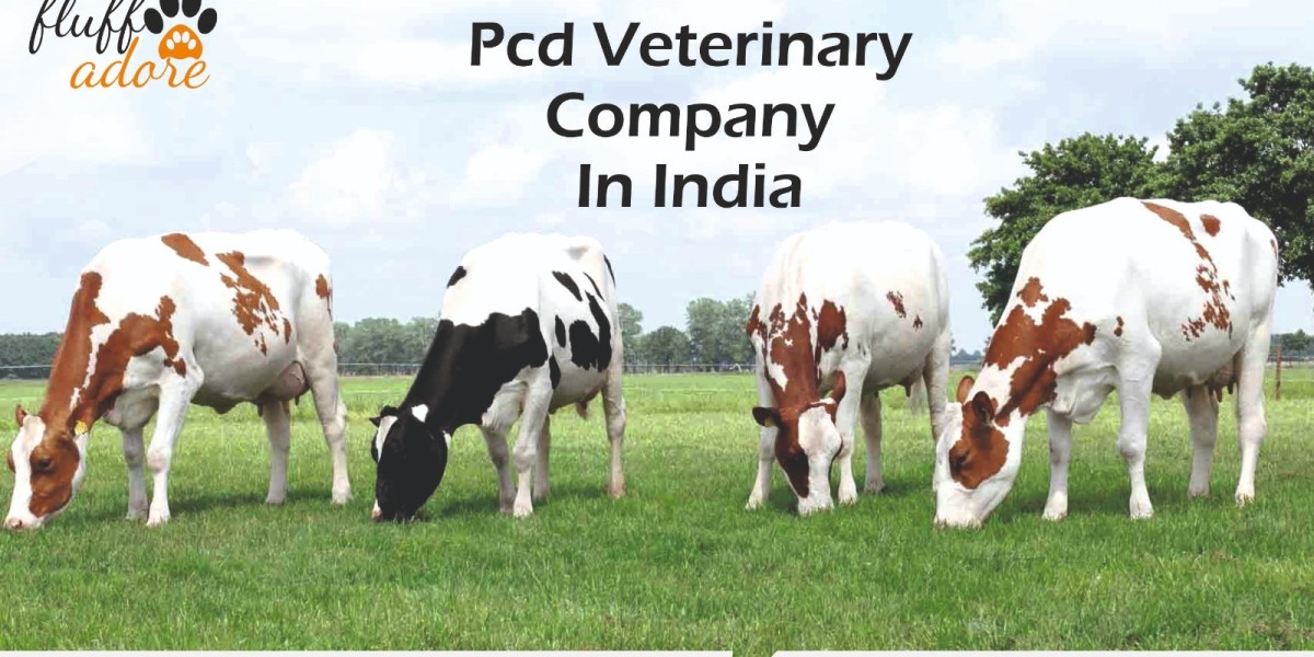 A veterinary PCD Franchise business opportunities