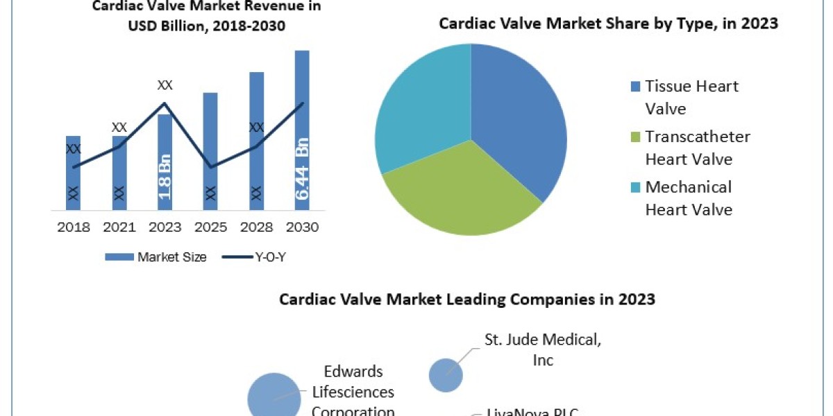 Cardiac Valve Market Product Type Coal Gasification with Carbon Capture Storage 2030