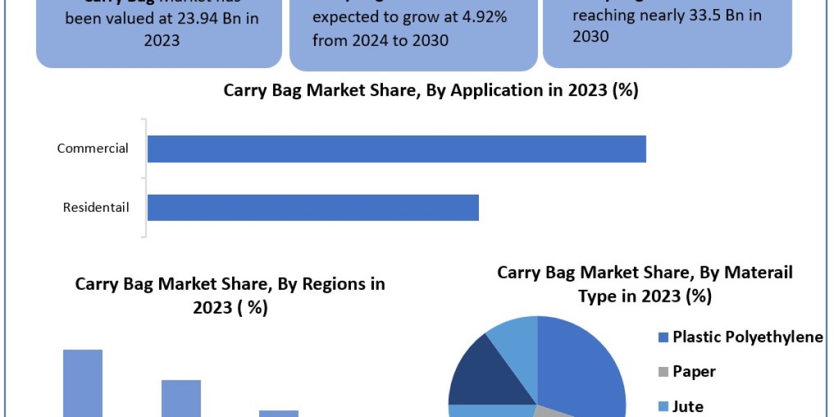 Carry Bag Market Report Cover Market Size, Top Manufacturers, Estimate and Forecast 2030