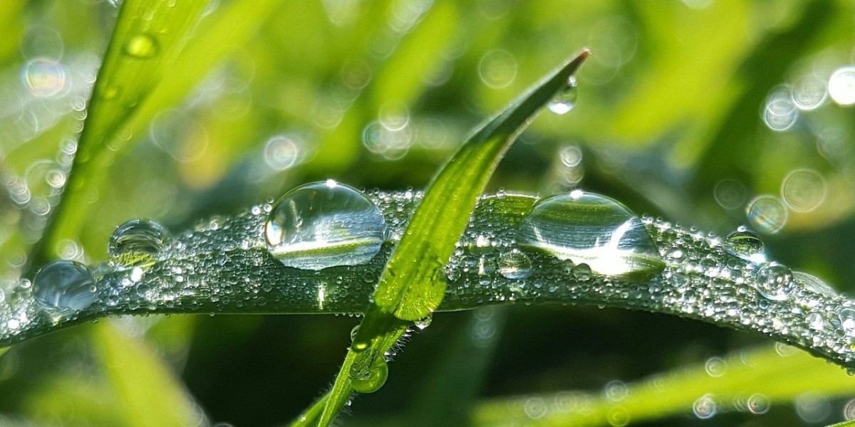 The Comprehensive Guide to Understanding and Using a Dew Point Calculator