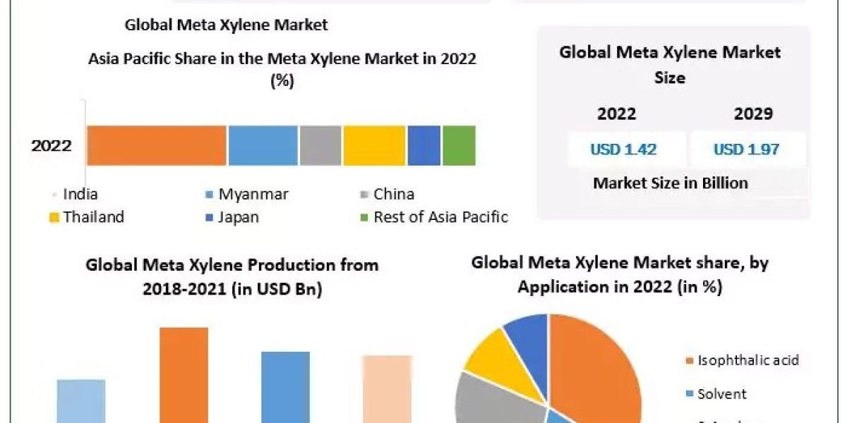 Meta Xylene Market: North America's Growth Amidst Environmental Regulations