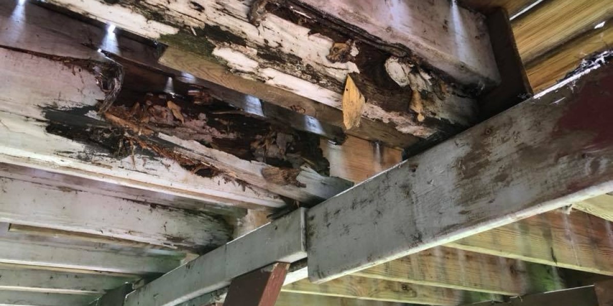 Inspect and Protect A Homeowner Guide to Termite Inspection