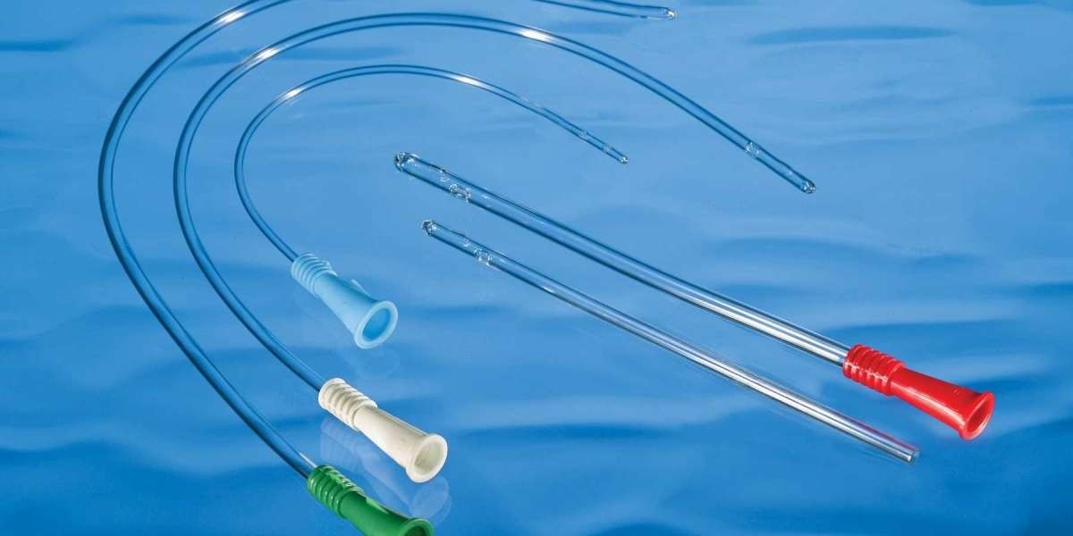 Urinary Catheters Market Summary and Key Insights: An Executive Overview of the Market's Current Status