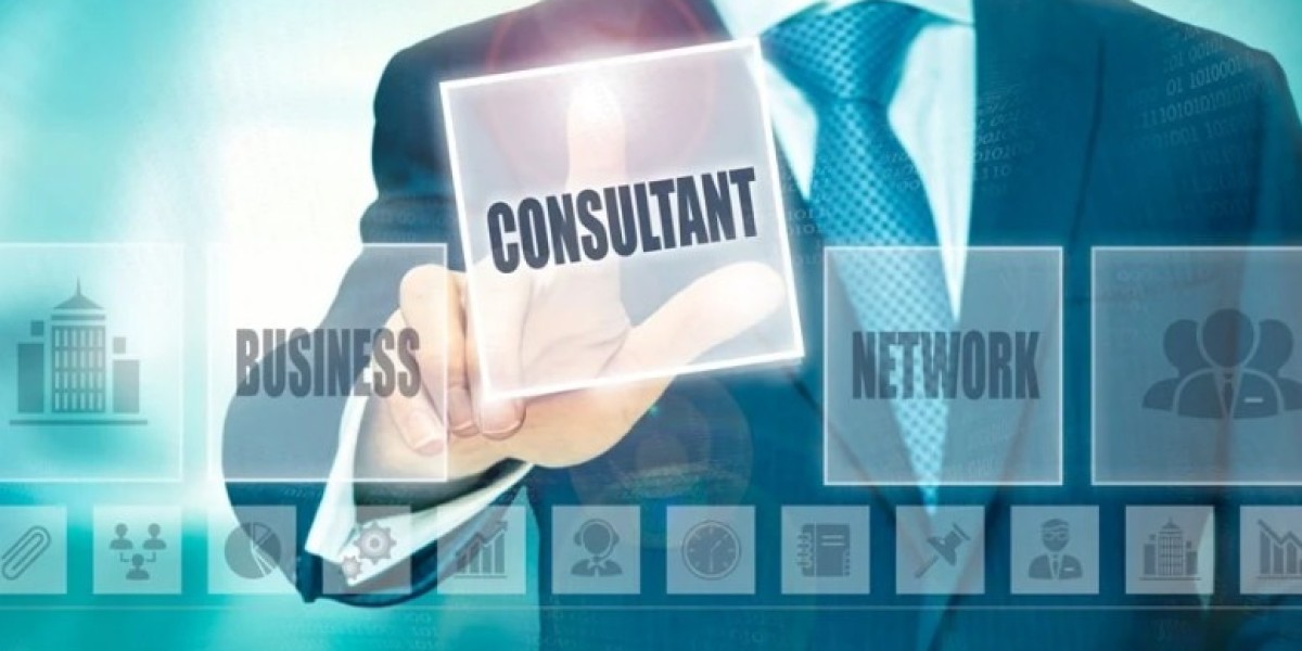 Introduction to PedroVazPaulo Business Consultant