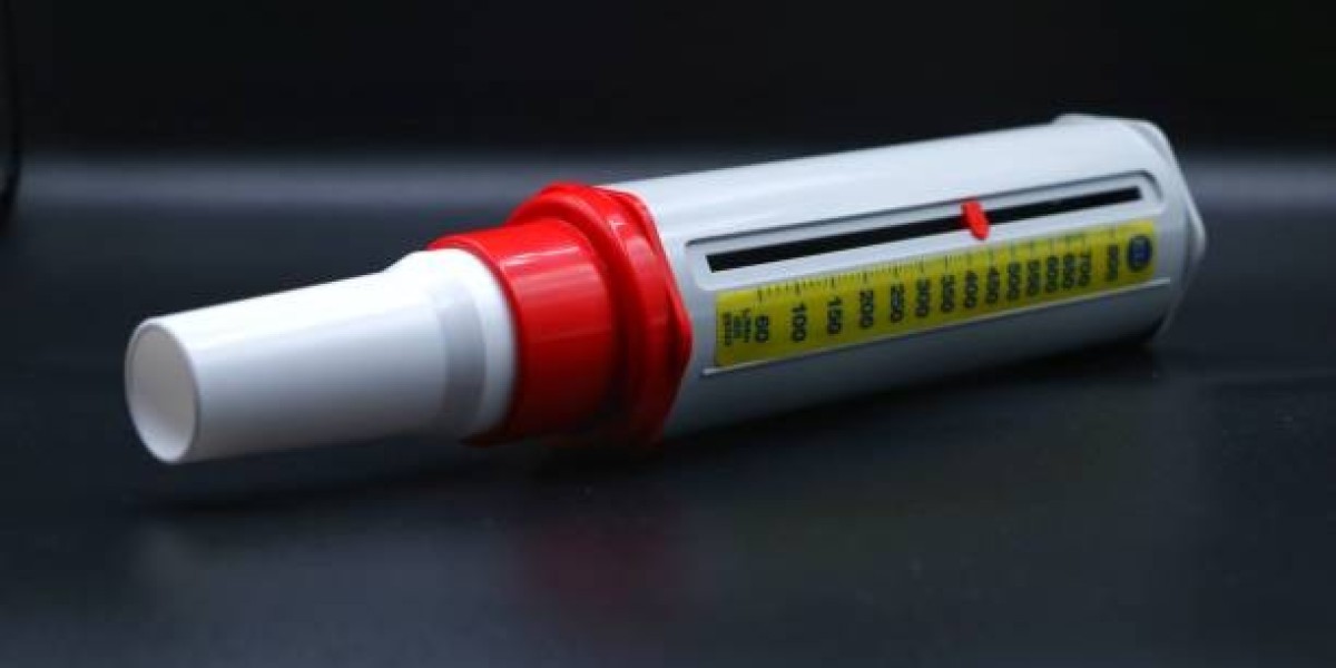 Peak Flow Meter Market: Meeting the Demands of Respiratory Health Management