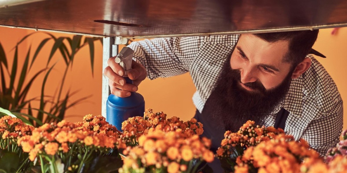 Shaping Spanish Agriculture Market: Emerging Trends and Innovations in Agrochemicals