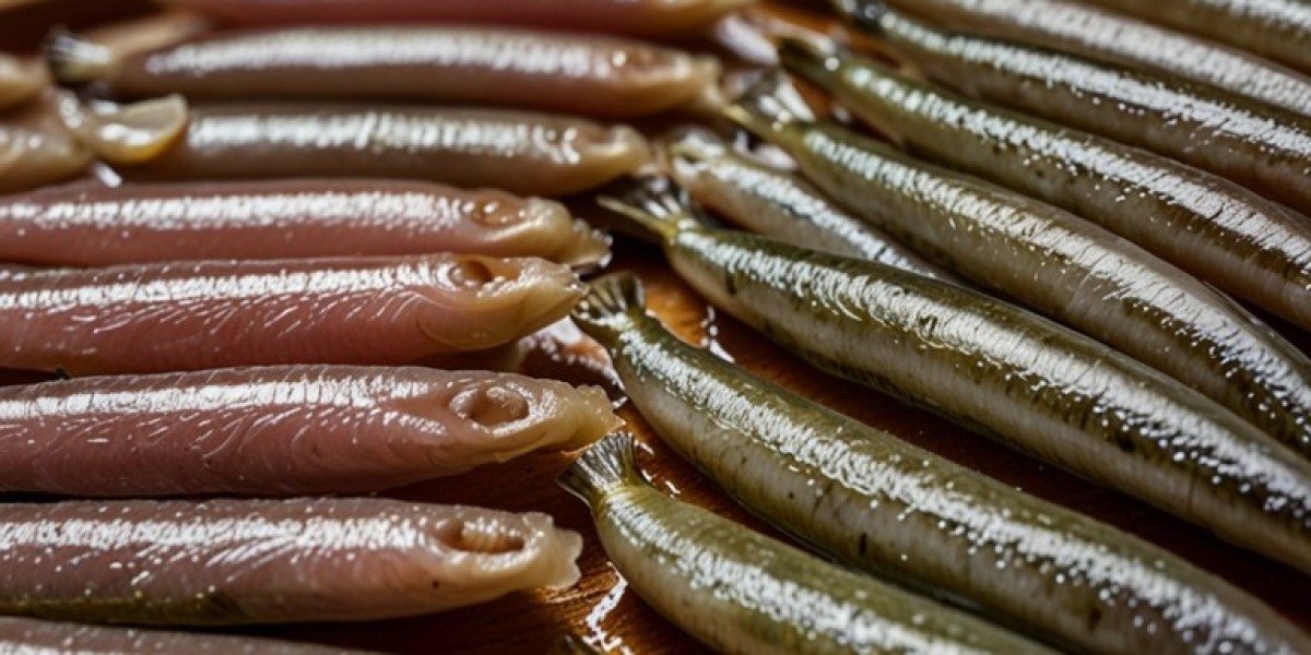 Anchovies Manufacturing Unit 2024: Plant Setup and Industry Trends