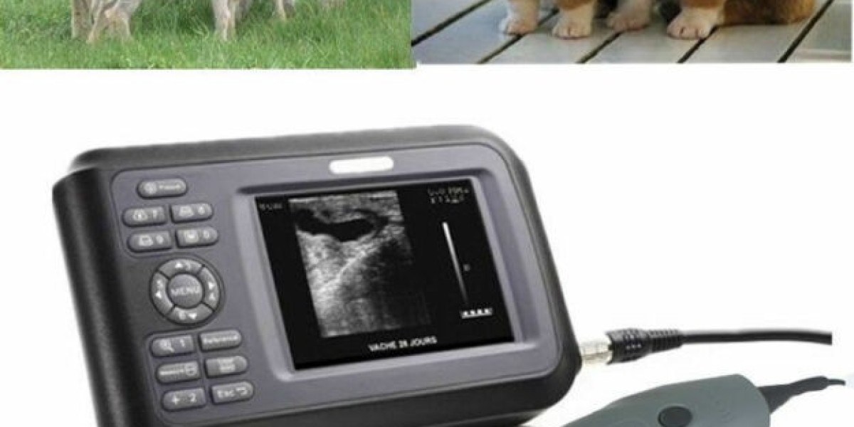 Veterinary Ultrasound Scanner Market Insights into Technological Advancements and Their Impact on Industry Growth
