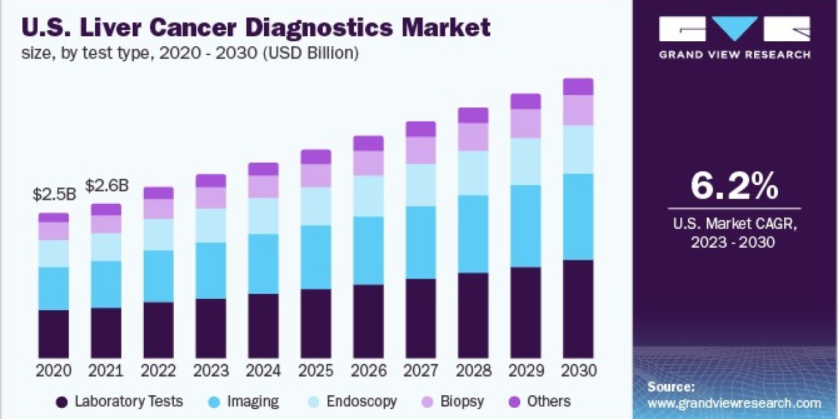 Liver Cancer Diagnostics Market 2030: How Lifestyle Changes Affect Diagnostic Needs