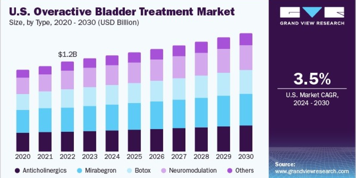 Overactive Bladder Treatment Market Outlook: Future Innovations in Drug Development