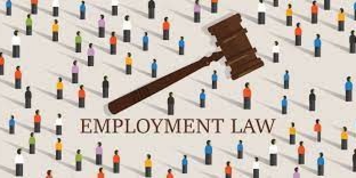 Empowering Your Workplace Rights with a Female Employment Lawyer