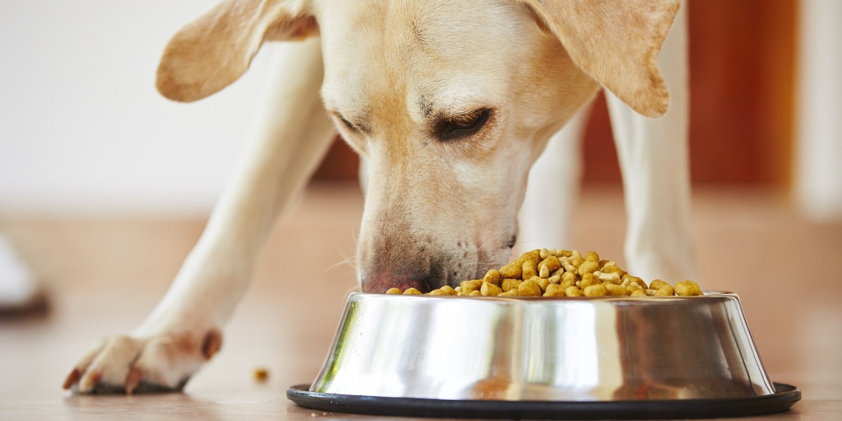 Pet Food Palatants Market: Unlocking the Key to Fussy Eaters and Healthy Pets
