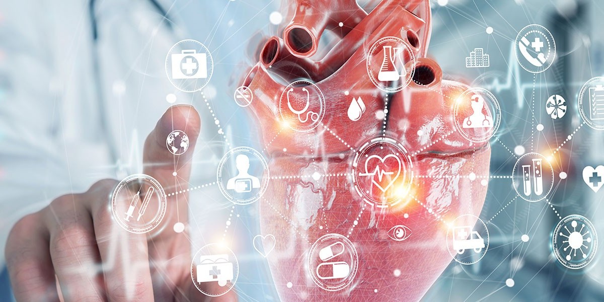 Cardiovascular Diagnostics Market: Accelerated Growth Driven by AI, Wearables, and Preventive Healthcare