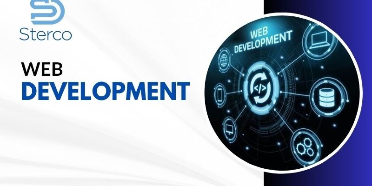 Choosing a Web Development Company? Here are Some Points to Remember