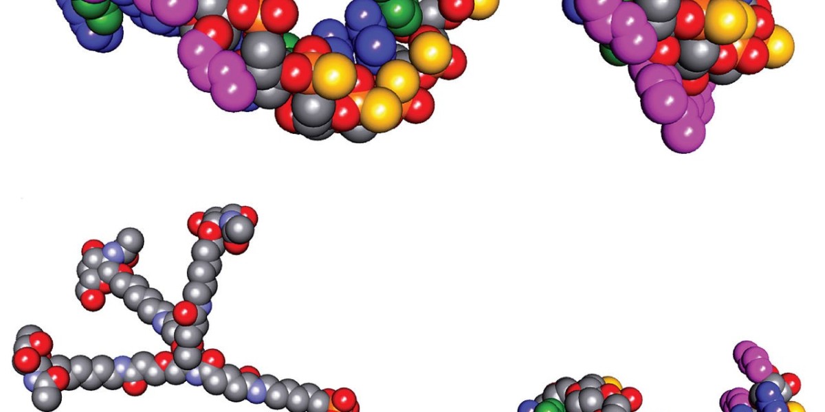 Oligonucleotides Market Estimated To Experience a Hike in Growth By 2034