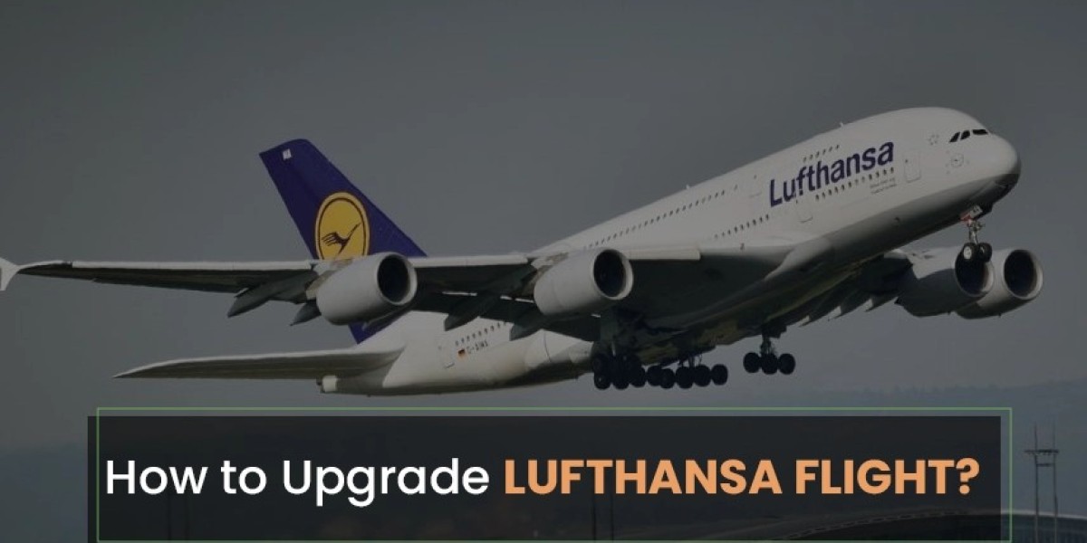 Your Travel Comfort with a Lufthansa Seat Upgrade: Tips from Tours N Travel Pro