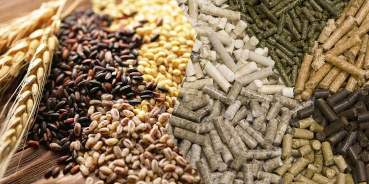 Animal Feed Additives Market: A Comprehensive Overview of Growth Drivers and Trends