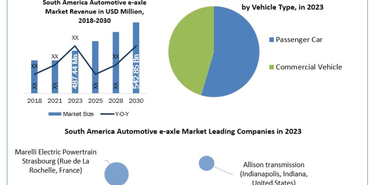 South America Automotive e-axle Market Industrial Chain, Scope, Key Players Profiles and Sales Data to 2030