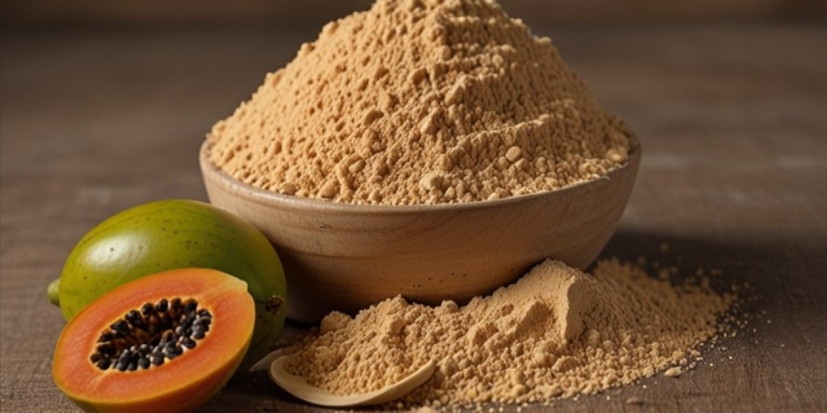 Papaya Powder Manufacturing Report 2024: Plant Cost, Business Plan, Capital Investments and Expenses