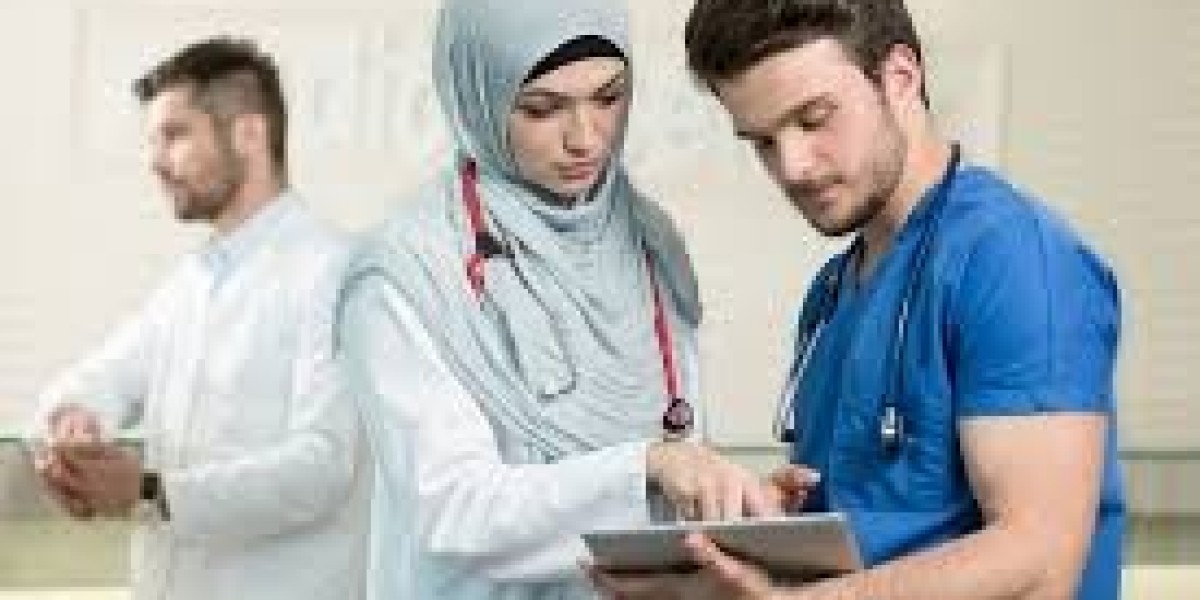 Understanding Nurse Preceptors in the USA and the Role of Verbal Communication in Effective Training