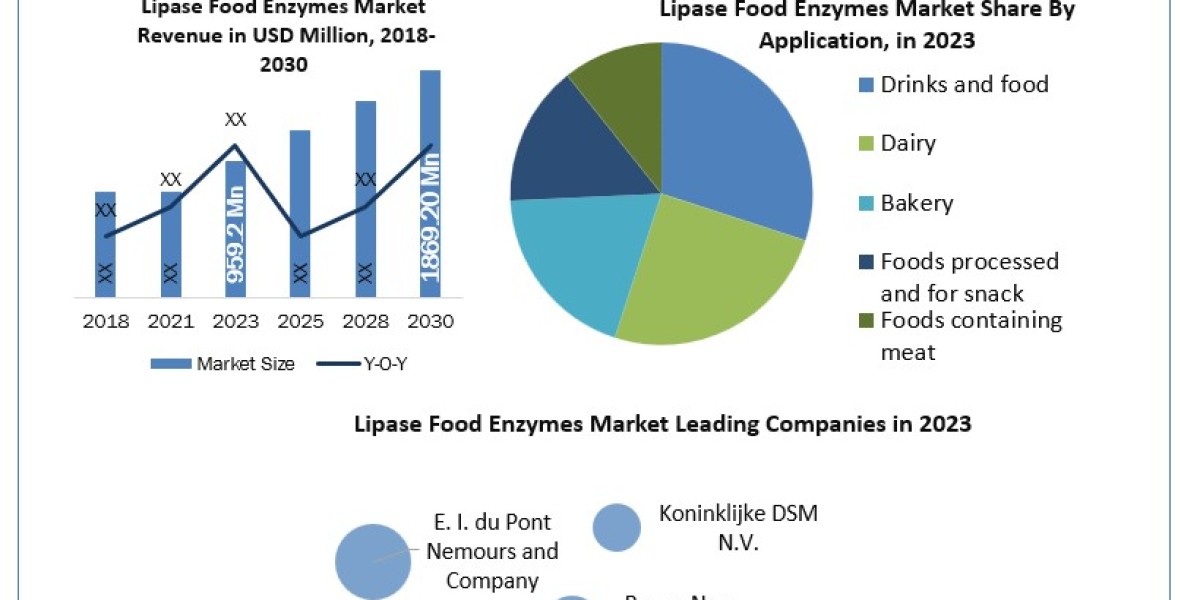 Lipase Food Enzymes Market Emerging Trend, Top Companies, Industry Demand, Business Review and Regional Analysis by 2030